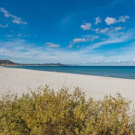 Appartamento House And Apts. Siniscola/sardinien 35758