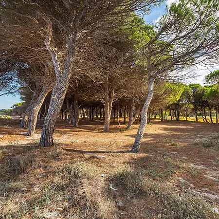 Appartamento House And Apts. Siniscola/sardinien 35758 Siniscola