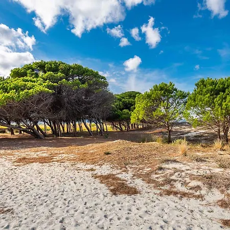 House And Apts. - Sardinien 35758 Siniscola