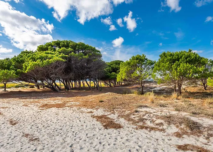 House And Apts. - Sardinien 35758 Siniscola